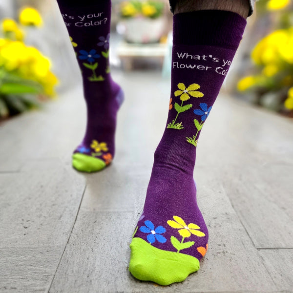 What's Your Flower Color Socks from the Sock Panda