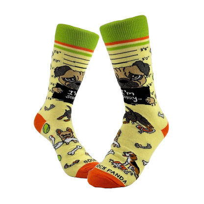Bad and Guilty Dog Socks from the Sock Panda (Adult Small - Shoe Sizes 2 - 5)