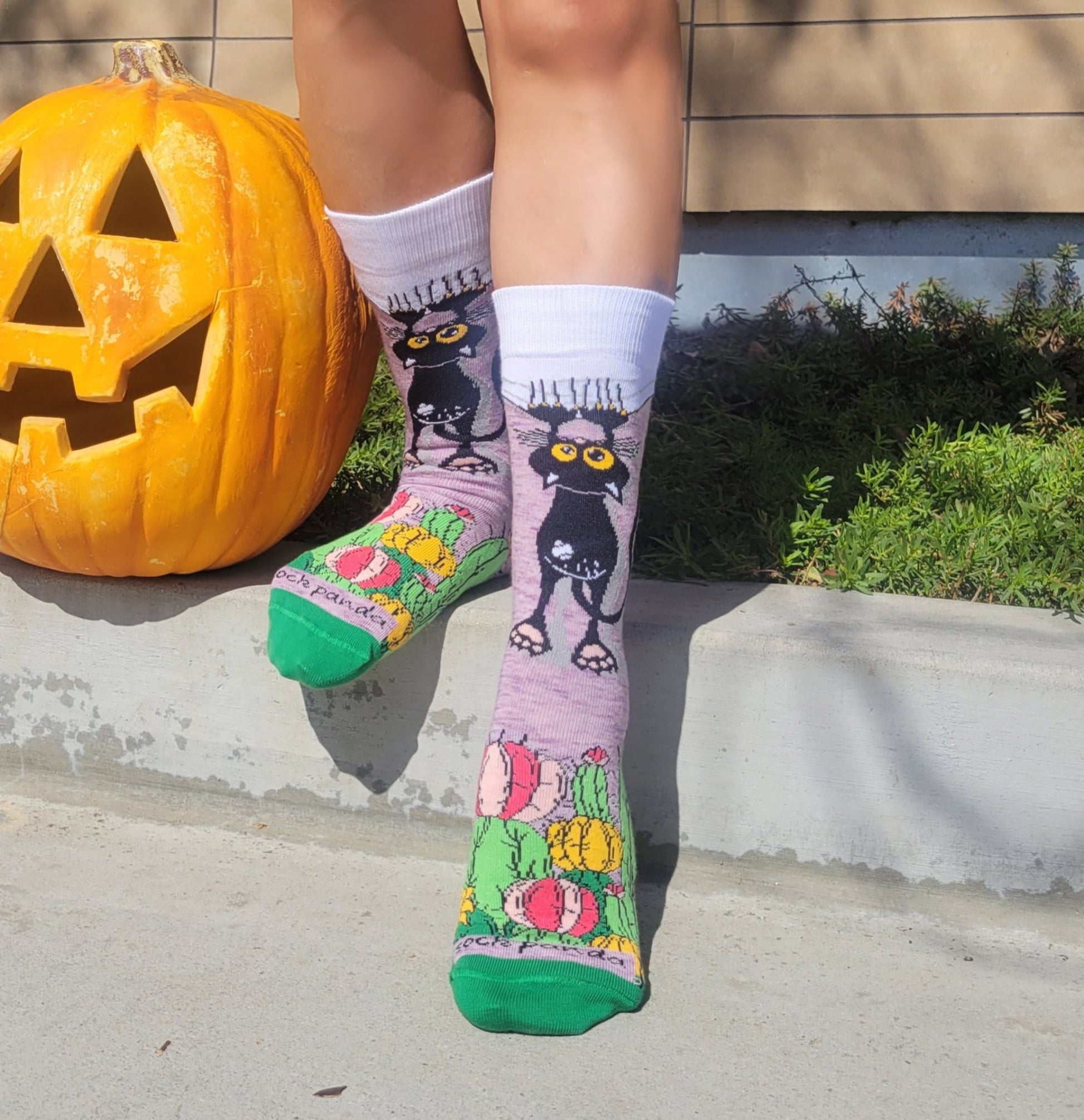 Cactus Cat Socks from the Sock Panda (Adult Medium - Women's Shoe Sizes 5 - 10)