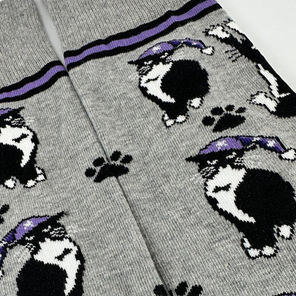 Cat Wearing a Hat Socks from the Sock Panda (Adult Large - Men's Shoe Sizes 8 - 12)