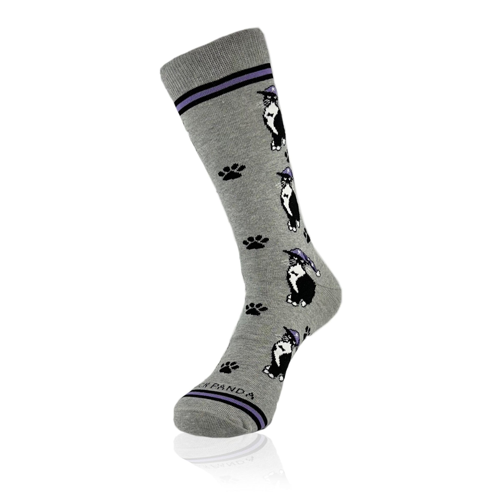Cat Wearing a Hat Socks from the Sock Panda (Adult Large - Men's Shoe Sizes 8 - 12)