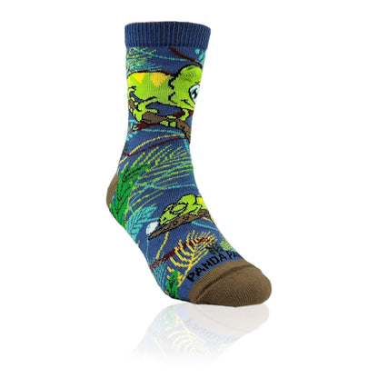 Chameleon Socks from the Sock Panda (Ages 3 - 7)