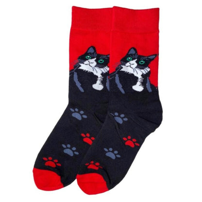 Cool Cat Socks from the Sock Panda (Adult Medium - Women's Shoe Sizes 5 - 10)