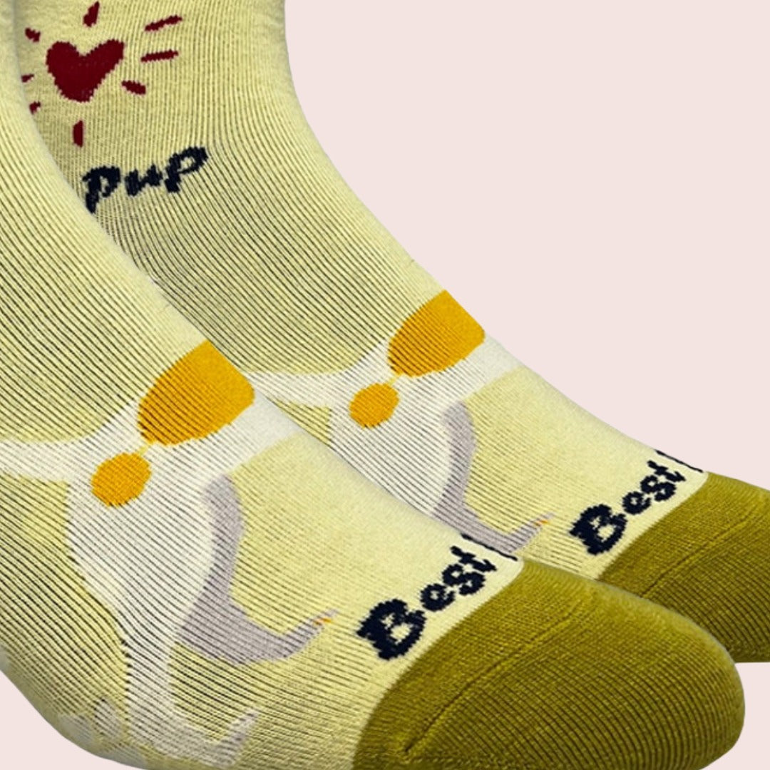Corgi Dog Socks (Adult Medium - Women's Shoe Sizes 5-10)