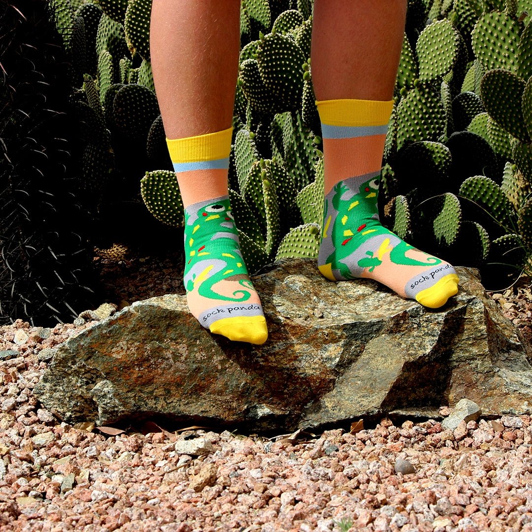 Desert Lizard Socks from the Sock Panda (Adult Medium) DesertLizardMd