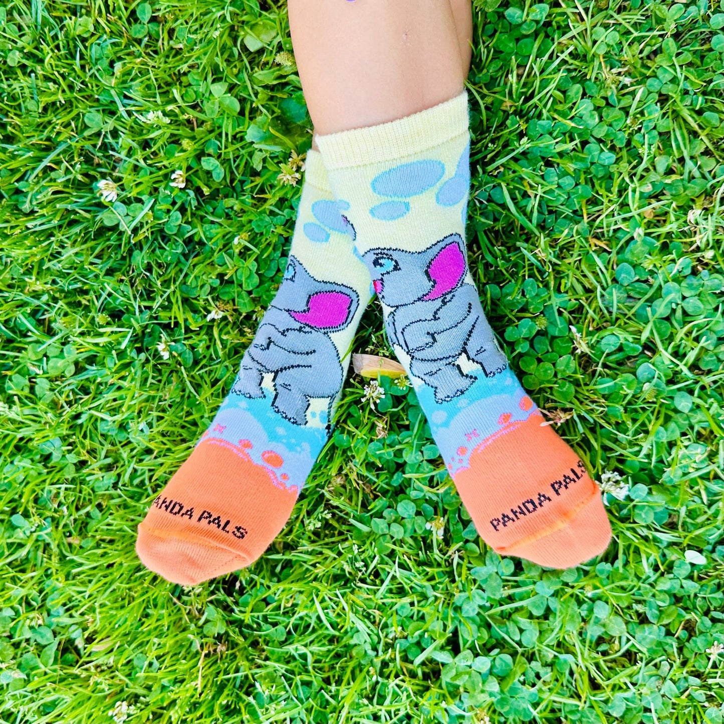 Elephant Bubbles Socks from the Sock Panda (Ages 3 - 7)