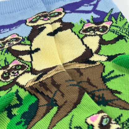 Ferret Family Socks from the Sock Panda (Ages 3 - 7) FerretFamMd