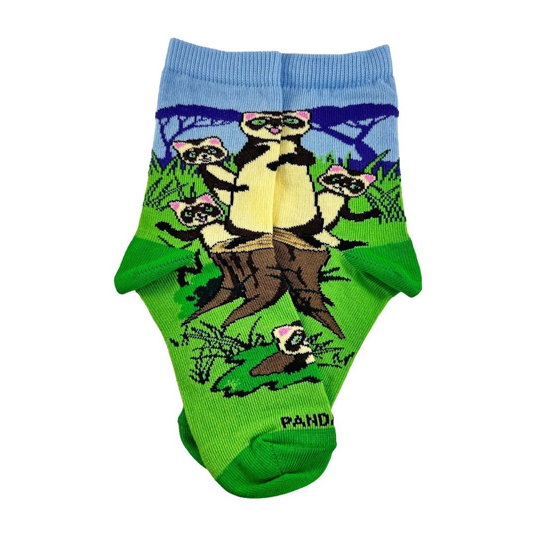 Ferret Family Socks from the Sock Panda (Ages 3 - 7) FerretFamMd