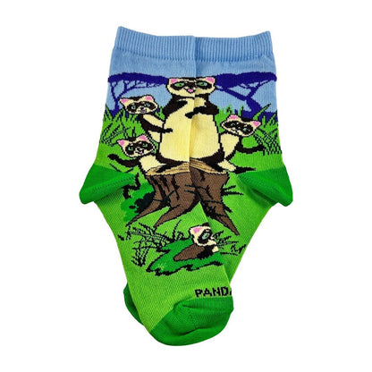 Ferret Family Socks from the Sock Panda (Ages 3 - 7) FerretFamMd