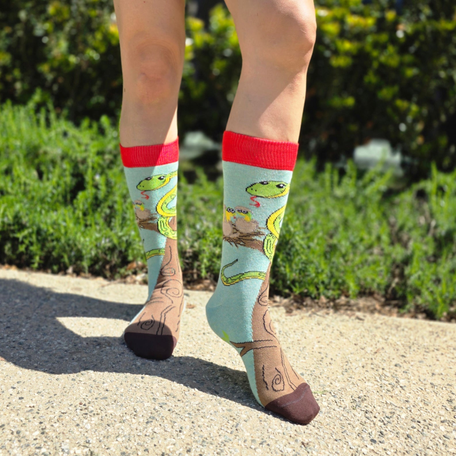 Happy Tree Snake with Babies Socks from the Sock Panda