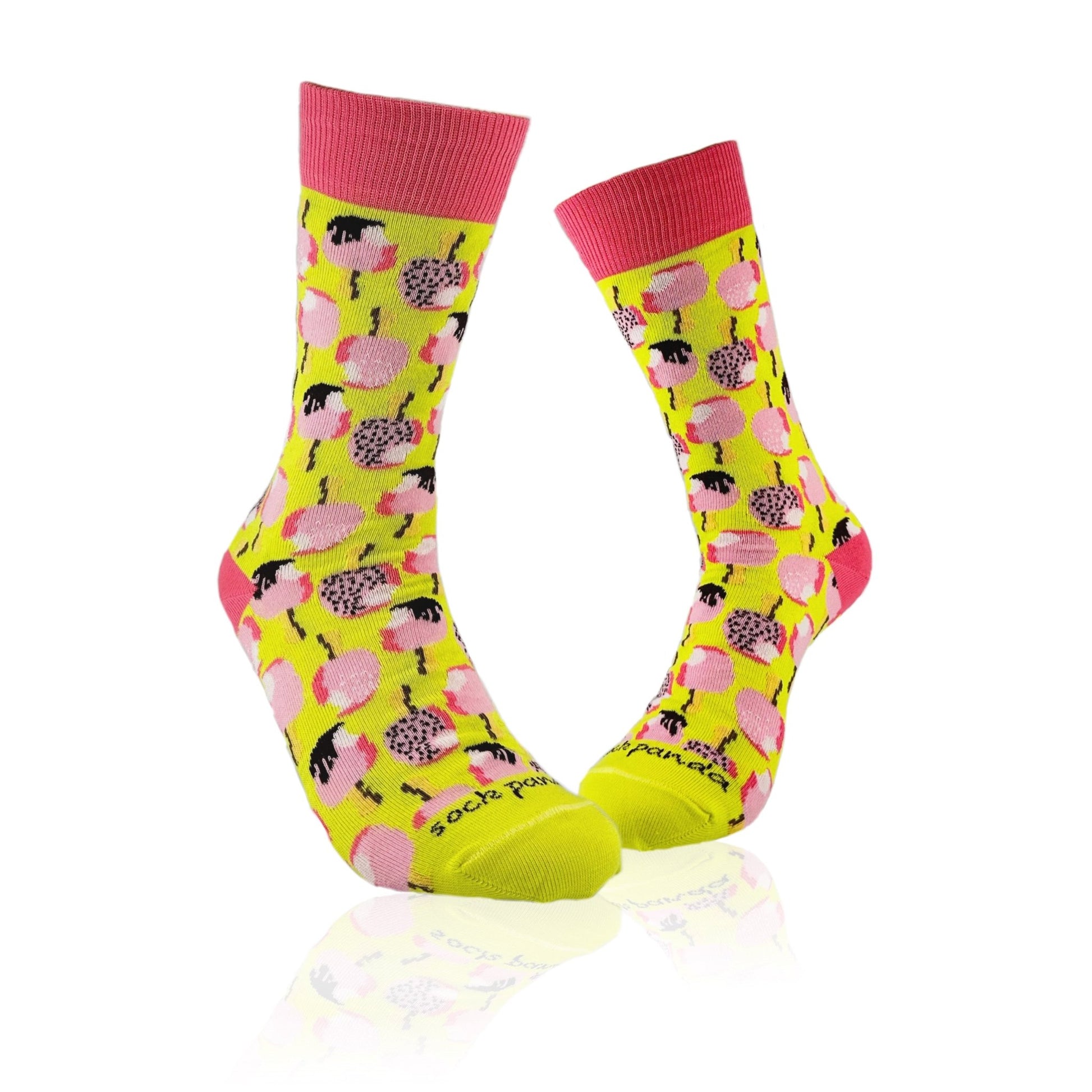 Ice Cream Popsicle Socks from the Sock Panda (Adult Medium - Women's Shoe Sizes 5 - 10)