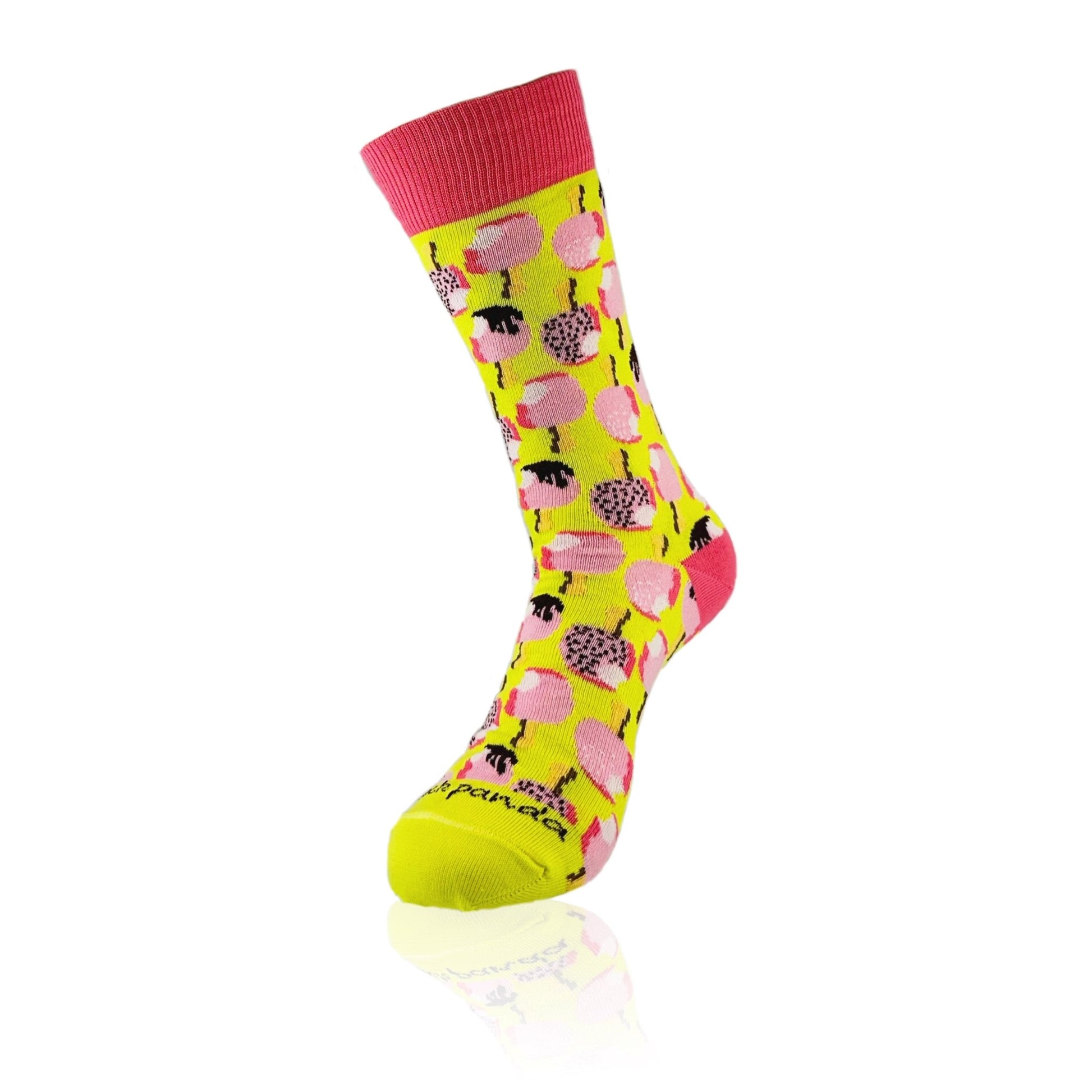 Ice Cream Popsicle Socks from the Sock Panda (Adult Medium - Women's Shoe Sizes 5 - 10)