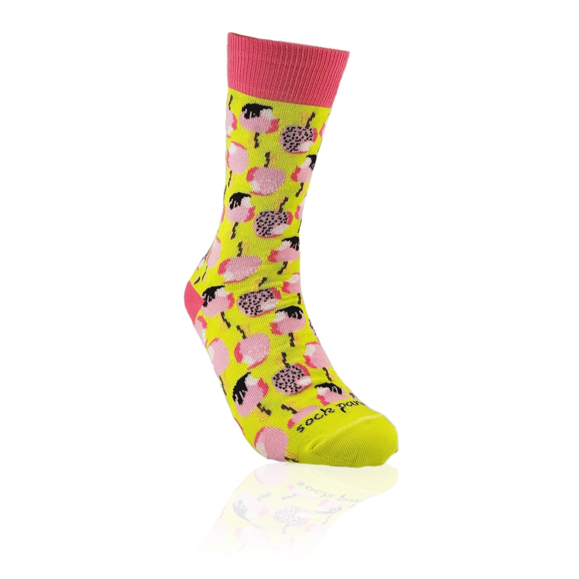 Ice Cream Popsicle Socks from the Sock Panda (Adult Medium - Women's Shoe Sizes 5 - 10)