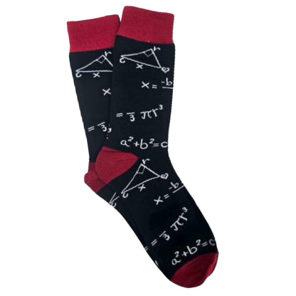 Math Socks from the Sock Panda (Adult Large - Men's Shoe Sizes 8 - 12)
