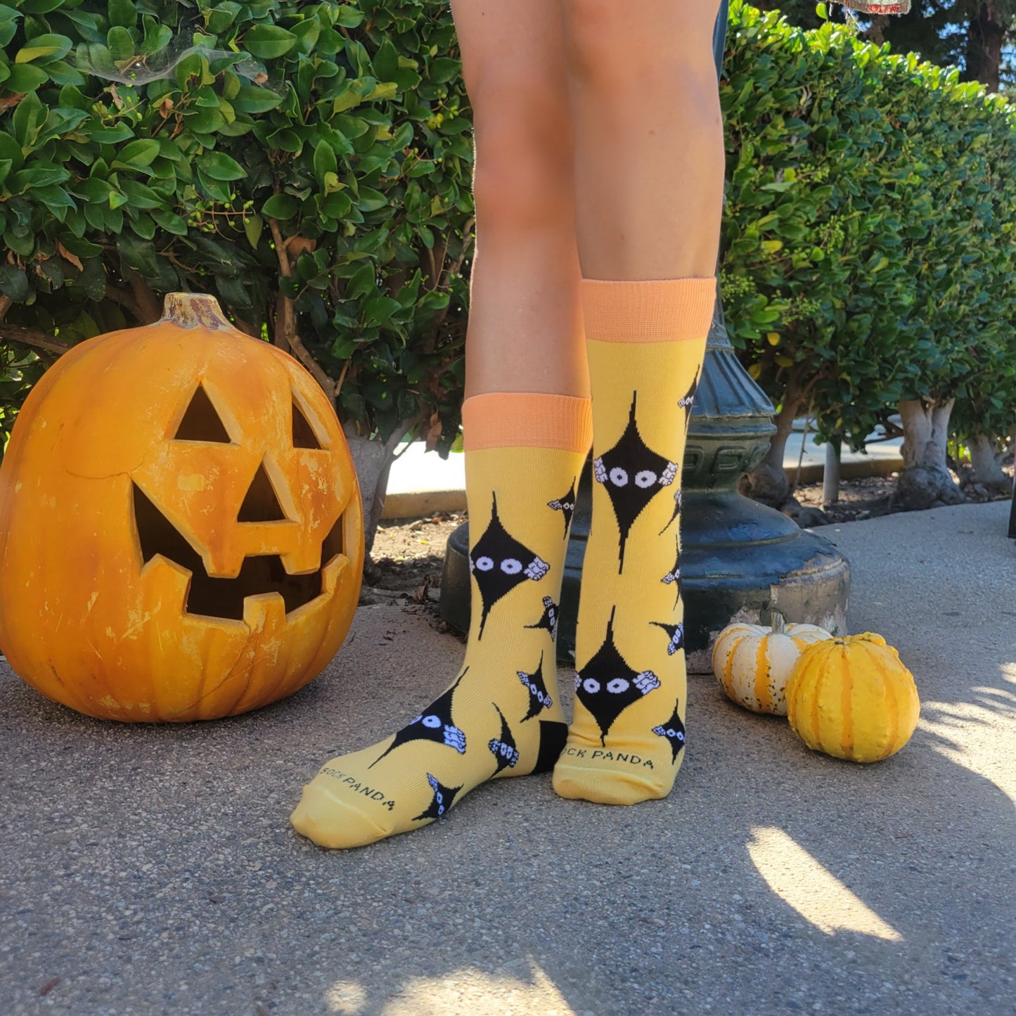 Peeking Eyes Socks from the Socks Panda