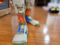 Cool Llamas Socks from the Sock Panda (Adult Small) Video