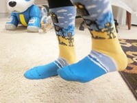 Robot Family Socks from the Sock Panda (Adult Large) Video