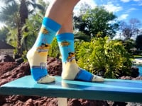 Pizza Baking in the Sun Socks from the Sock Panda (Adult Small -  Shoe Sizes 2-5) Video