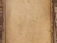 Bad and Guilty Dog Socks from the Sock Panda (Adult Small - Shoe Sizes 2-5) Video