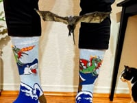 Dragon Riding a Shark Socks from the Sock Panda video