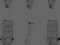 Pop Art Panda Pattern Socks from the Sock Panda Video