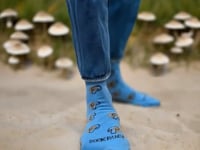 Mushroom Pattern Socks from the Sock Panda (Adult Large - Men's Shoe Sizes 8-12)