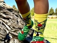 Caterpillar Socks from the Sock Panda (Ages 3-7) Video