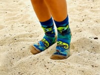 Chameleon Socks from the Sock Panda (Ages 3-7) Video
