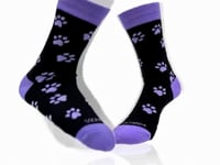 Purple Paw Print Dog Lover Socks from the Sock Panda (Adult Medium) Video