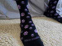 Purple Paw Print Dog Lover Socks from the Sock Panda (Adult Medium - Women's Shoe Sizes 5-10) Video