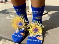 Fire Works Over the City Socks (Ages 3-7) Video