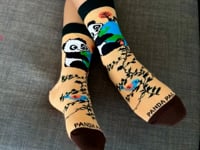 Panda Hugging Earth Socks from the Sock Panda (Ages 3-7) Video