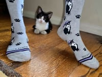 Cat Wearing a Hat Socks from the Sock Panda (Adult Large - Men's Shoe Sizes 8-12) Video