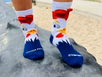 Rooster Socks from the Sock Panda (Age 3-7) Video