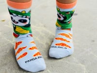 Panda Dragon Panda Pal Kids Socks from Sock Panda Video