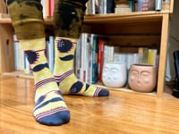 Mustache Man Socks Video from the Sock Panda