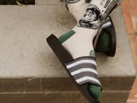 Ben Franklin 100 Dollar Bill Socks Video from the Sock Panda