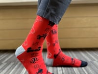 Zodiac Socks Video from the Sock Panda