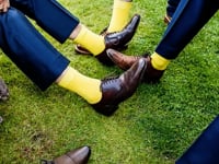 Yellow Socks Solid Color Crew Socks Video from the Sock Panda