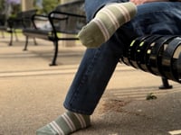 Olive Green Striped Socks from the Sock Panda (Adult Large)