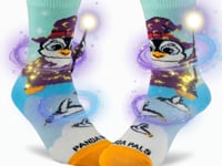 Magic Penguin Panda Pal Socks from the Sock Panda