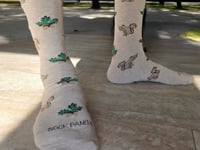 Squirrel With Nut Socks from the Sock Panda