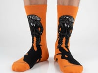 Lion Business Man Socks from the Sock Panda