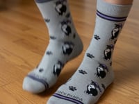 Cat Wearing hat socks from the Sock Panda