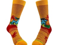 Skater Dog socks for tweens from the Sock Panda