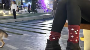 Red Christmas Trees socks from the Sock Panda