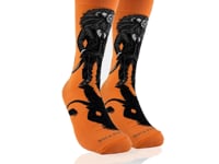Lion Businessman Socks from the Sock Panda