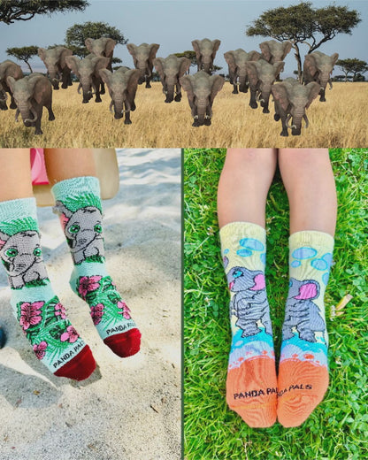 Elephant Bubbles Socks from the Sock Panda (Ages 3-7)