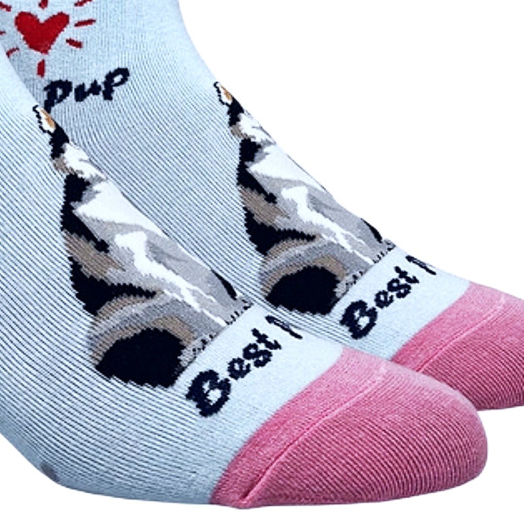 Siberian Husky Dog Socks (Adult Medium - Women's Shoe Sizes 5 - 10)