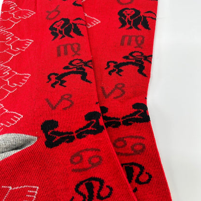 Zodiac Socks from the Sock Panda (Adult Large - Men's Shoe Sizes 8 - 12)